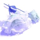 꽃보다아름다운당신 이미지