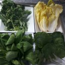 대패생각 이미지