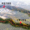 나무숲소 이미지