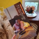 고분양태 이미지