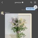 그린쥬르