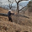 지업농장 이미지