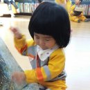 영랑작은도서관 이미지