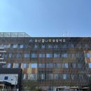 달성군장난감도서관 | 용산꿈나무종합타운 이용후기 용산아이노리 장난감나라 용산꿈나무도서관 서울시 용산구 가볼 만한 곳 추천
