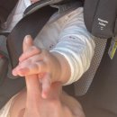 들마루칼국수 | 2024 절반