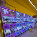 주니퍼니 이미지