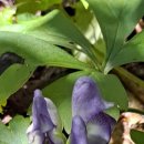 삼성동주민센타 이미지