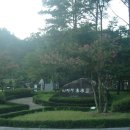 경상북도산림과학박물관 이미지