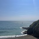 [제주도] 2박 3일 제주도 남쪽 서쪽 가을 뚜벅이 여행 (2일차)