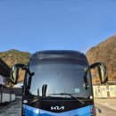 김정희약국