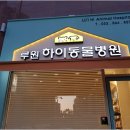 루원하이동물병원 이미지