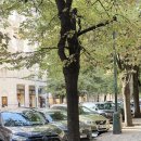 샤넬 | 10 체코 프라하여행 : 프라하 샤넬 후기(샤넬 클래식 지퍼 동전 지갑 언박싱)