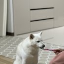 토리멍 이미지