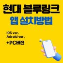 현대블루 티스토리