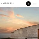 제주 포도호텔 신라스테이이호테우 그랜드하얏트제주