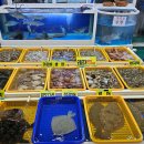 금자네칼국수 | 맛집의 불모지 만리포에서 살아남는 초가성비 삼시세끼 공개