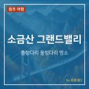 원주 가을 여행지 추천 소금산 그랜드밸리 출렁다리 울렁다리 후기