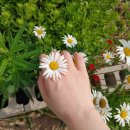 사천천 | 마곡 데이트 코스 원그로브 맛집 댄싱홍콩 마곡점