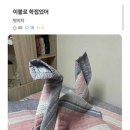 학접기 이미지