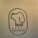 퍼피펜트하우스 이미지