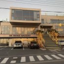 올랑고디또 이미지