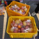 신광농장2 이미지