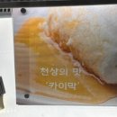 루티드나인