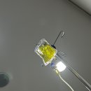 렉카마트 | 30대는 건강관리가 필수, 25년 회고하기 📝