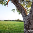 문화예술마을 저지리 농어촌체험마을 이미지