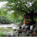 화음동민박 이미지