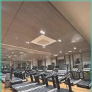 매일스포렉스 이미지