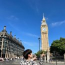 아이언피쉬 이미지