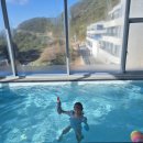 레지나 - 중구 장충단로 263 | 레지나