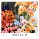 세종특별자치시산림조합 | 세종 다정 꽃 할인점, 가성비 최고 생화 구매! 🌸💐