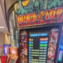 플레이스포츠 하남미사 이미지