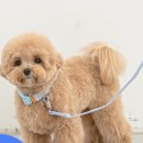 동구릉로136번길 이미지