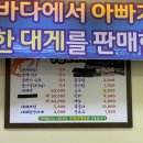 동남호대게 | 삼척 🦀대게맛집 '동남호대게' 후기