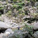 지장산 계곡 아래 이미지