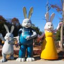 한영교회유치원 이미지