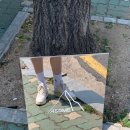 어썸마운틴