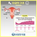 초량한의원 네이버블로그