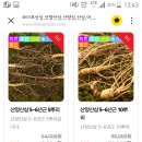 엘제이컴퍼니 이미지