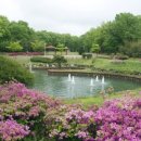 사단법인 사랑해밥차 이미지