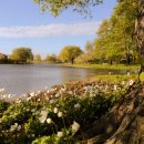 호숫가의 풍경 이미지