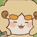 아갤러리 이미지