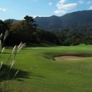 노송골프 이미지