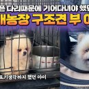 부다리농장 네이버블로그