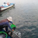 천수만목장 2 이미지