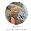 워크위드 | [내돈내산 대형견 추천템] 위드워크 촘촘 메쉬 올인원 등산 필수템 후기
