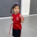 스탈릿 백호 태권도장 이미지